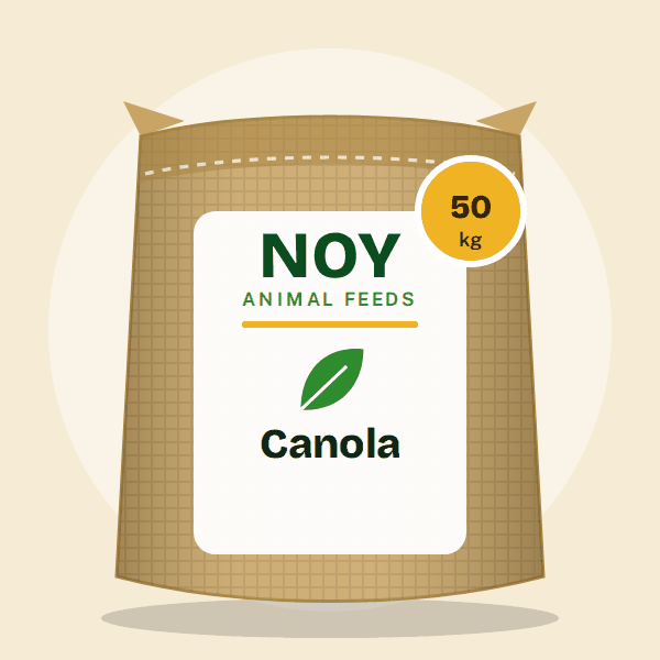 Canola by Noy Animal Feeds